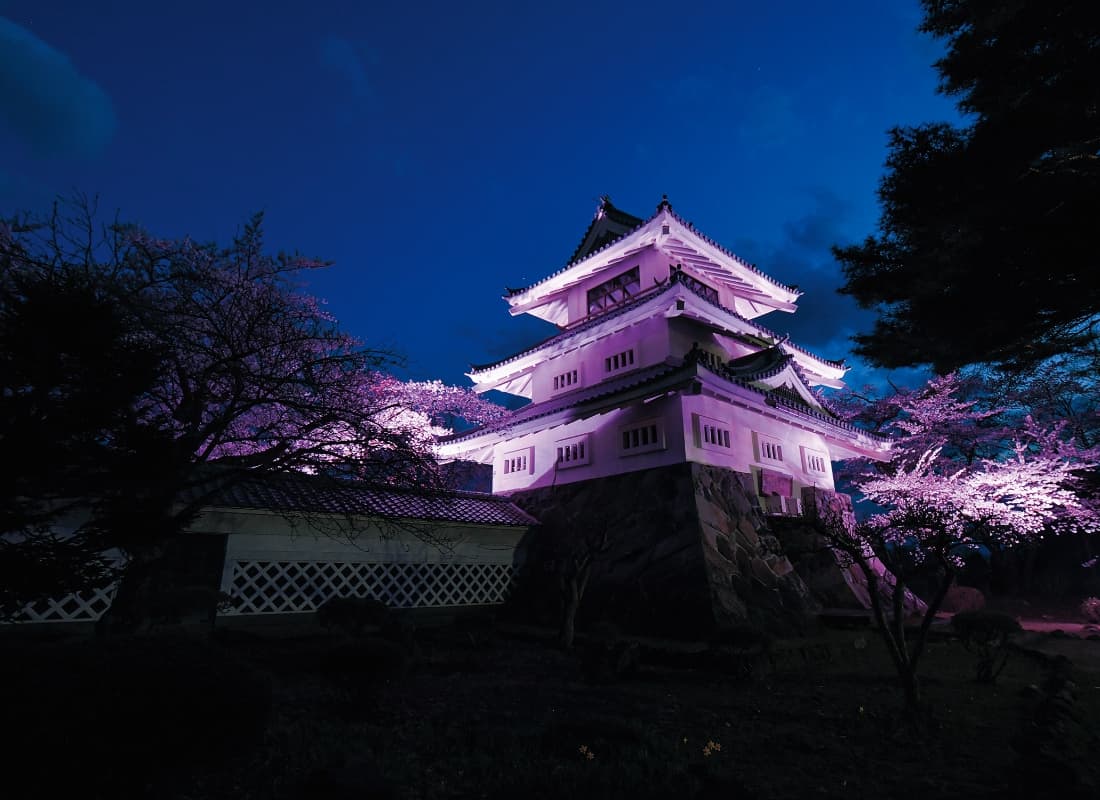 ライトアップされた夜の写真
