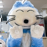 11ぴきのねこ