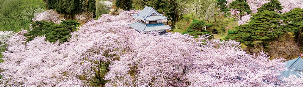 三戸城